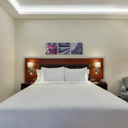 Hilton Garden ホテル 4*